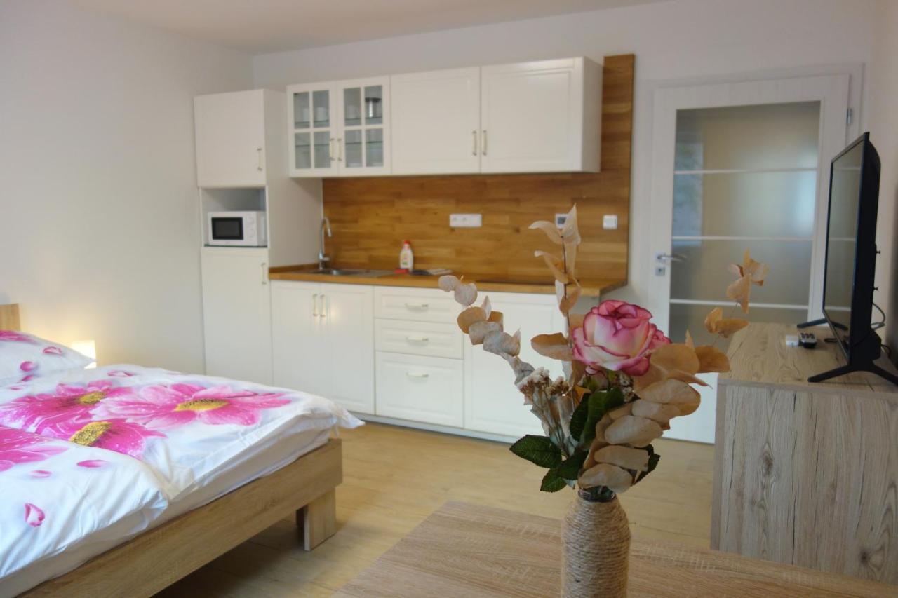 Pod Solanem Apartment *