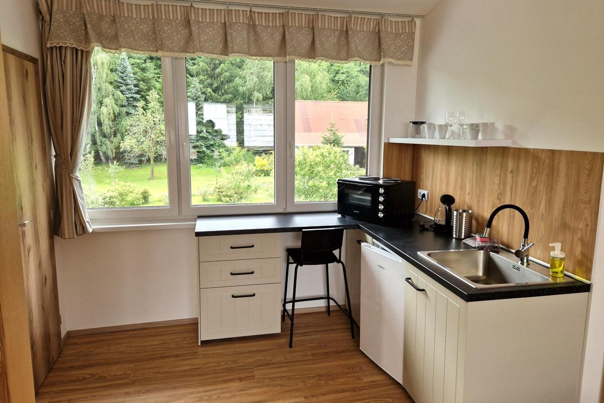 Pod Solanem Apartment